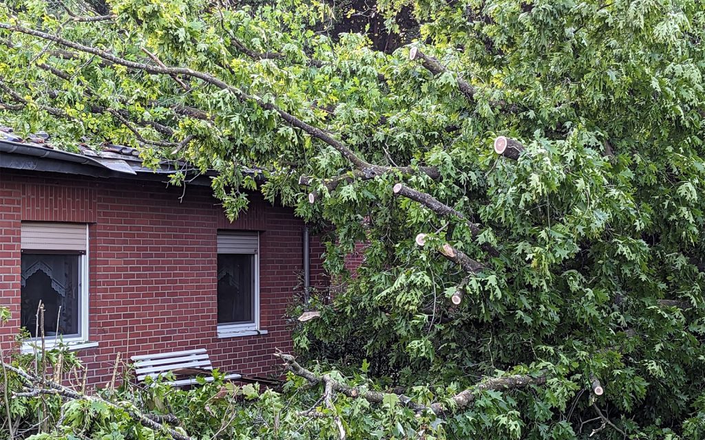 Baum kracht in Wohnhaus in Wegberg-Rickelrath: Schäden, aber keine Verletzten