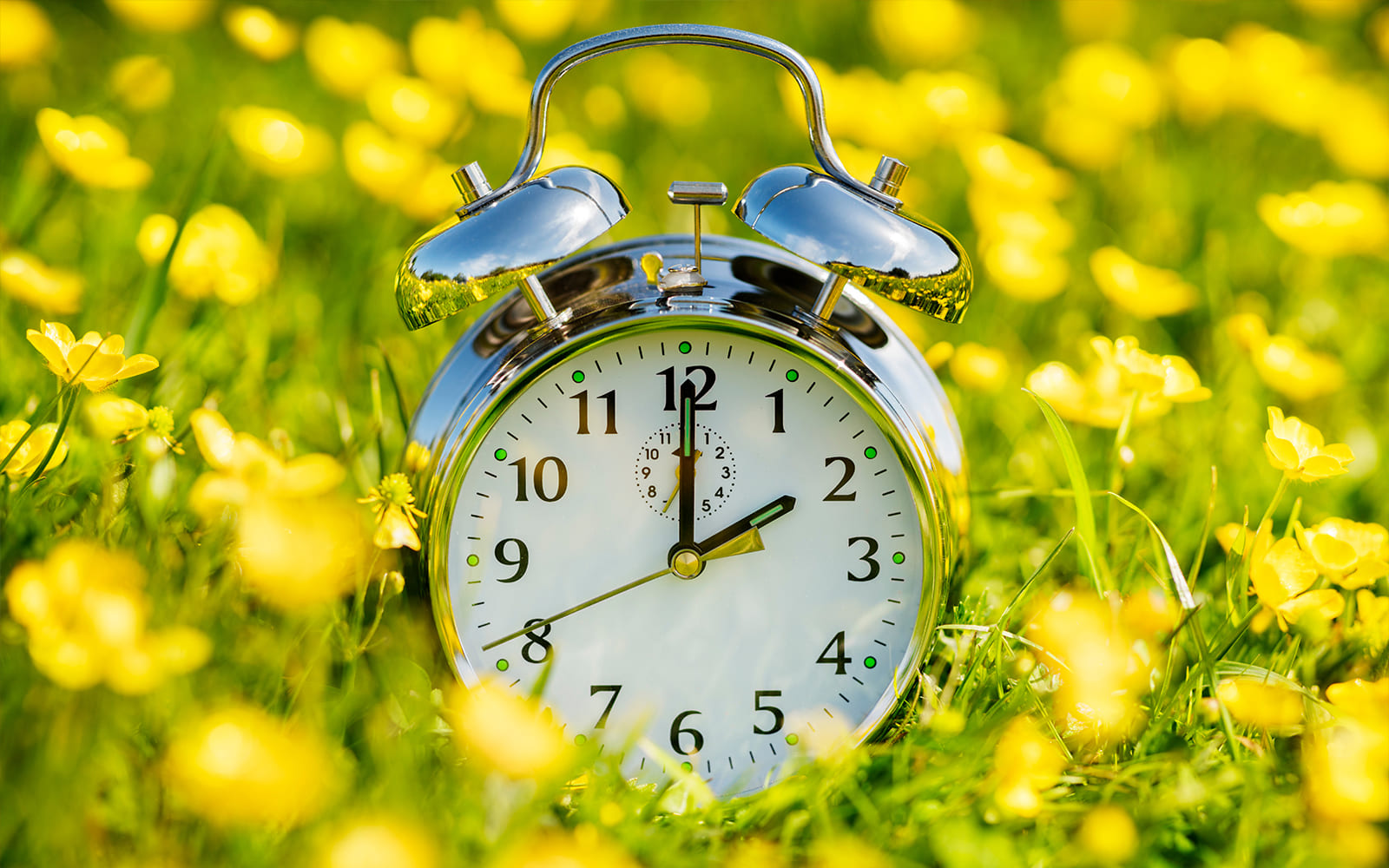 Sommerzeit 2024: Stellen wir die Uhren eine Stunde vor oder zurück?