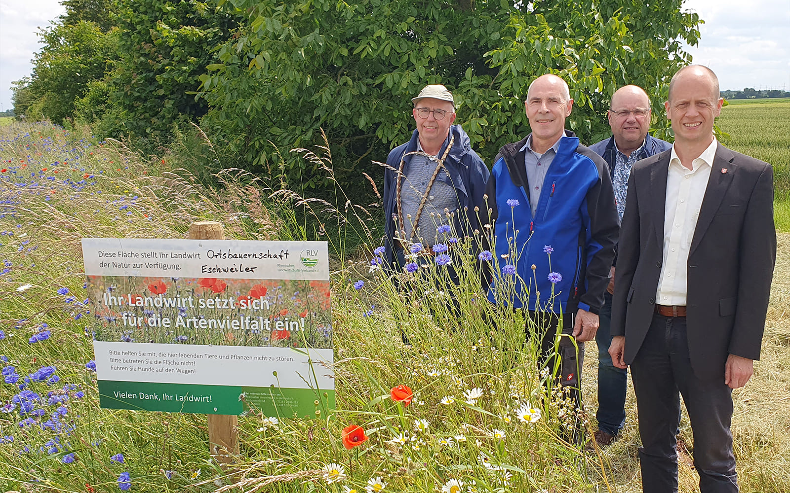 Neuer Blühstreifen fördert Biodiversität in Heinsberg