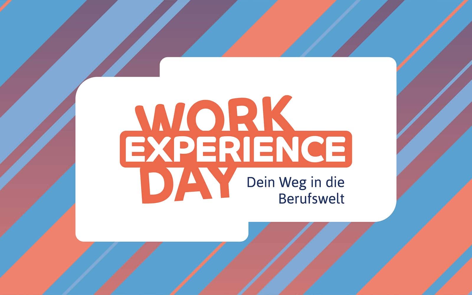 WorkExperienceDay öffnet Türen für die Berufswahl im Kreis Heinsberg